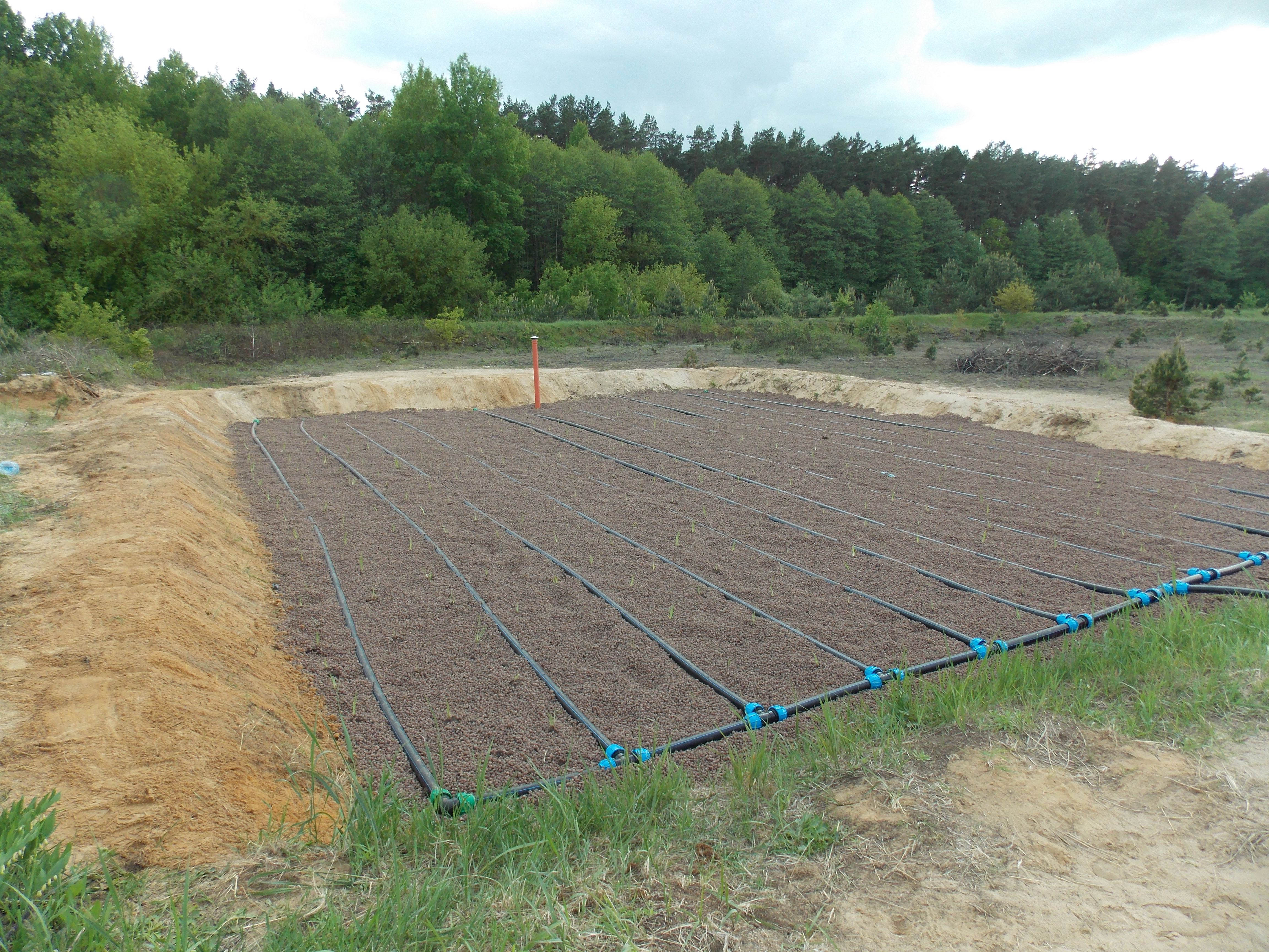 Грунтово-растительная площадка в Беларуси деревня Голубы Мостовский район