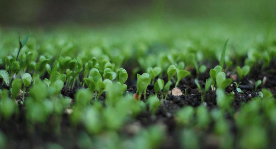 Рекомендации по организации компостирования для предприятий ЖКХ