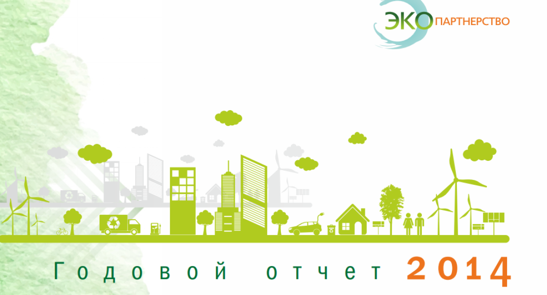 Годовой отчёт организации (2014)