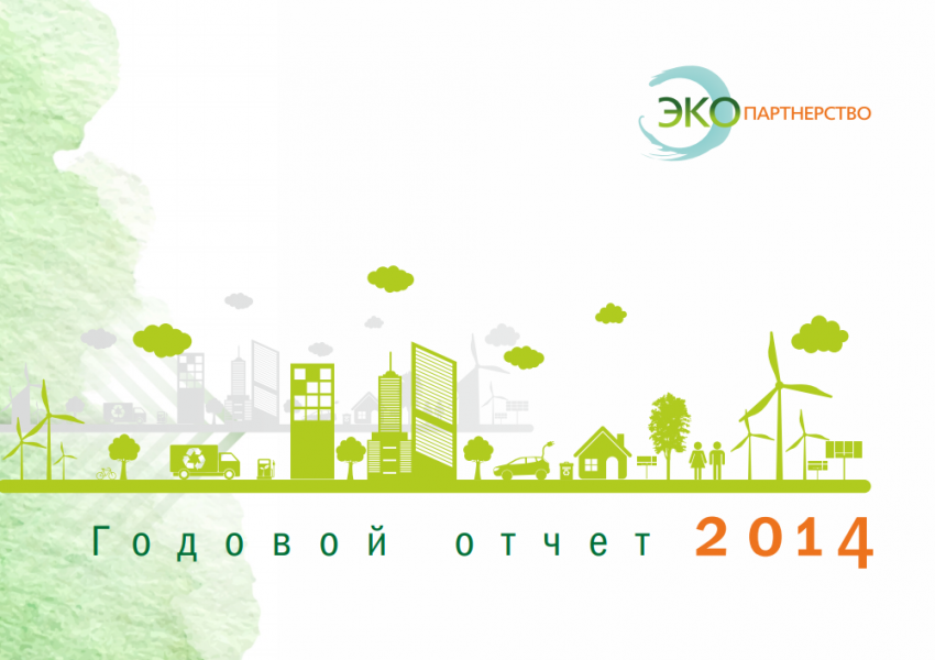 Годовой отчёт организации (2014)