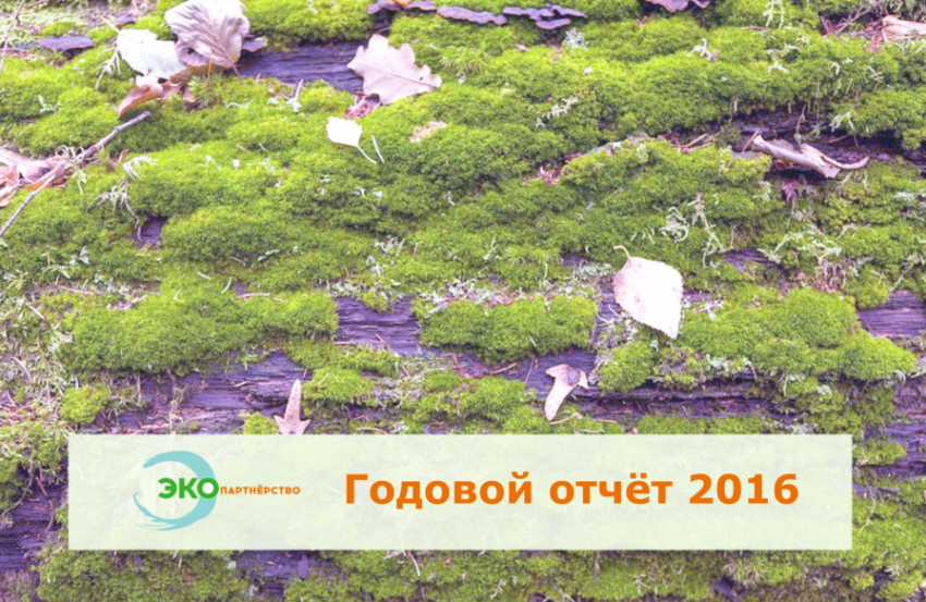 Годовой отчёт организации (2016)