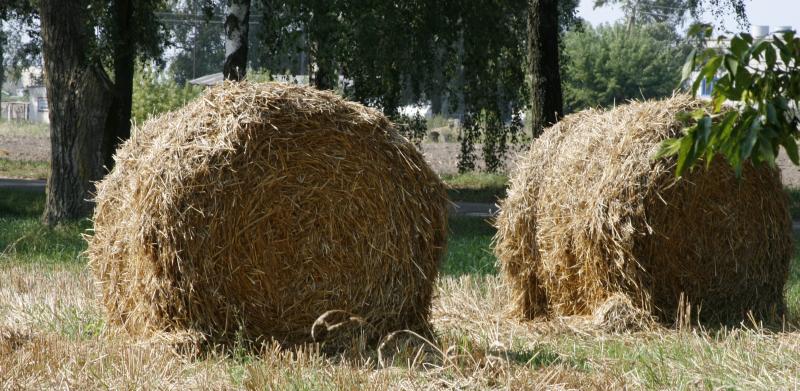 Улучшение местных стратегий устойчивого развития и реализации соответствующих мероприятий в трех сельских сообществах в Беларуси