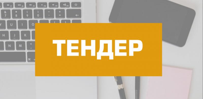 тендер юрист