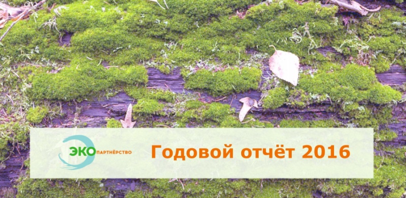 Годовой отчёт организации (2016)