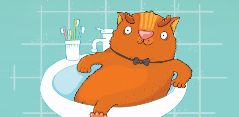 Даже кот знает